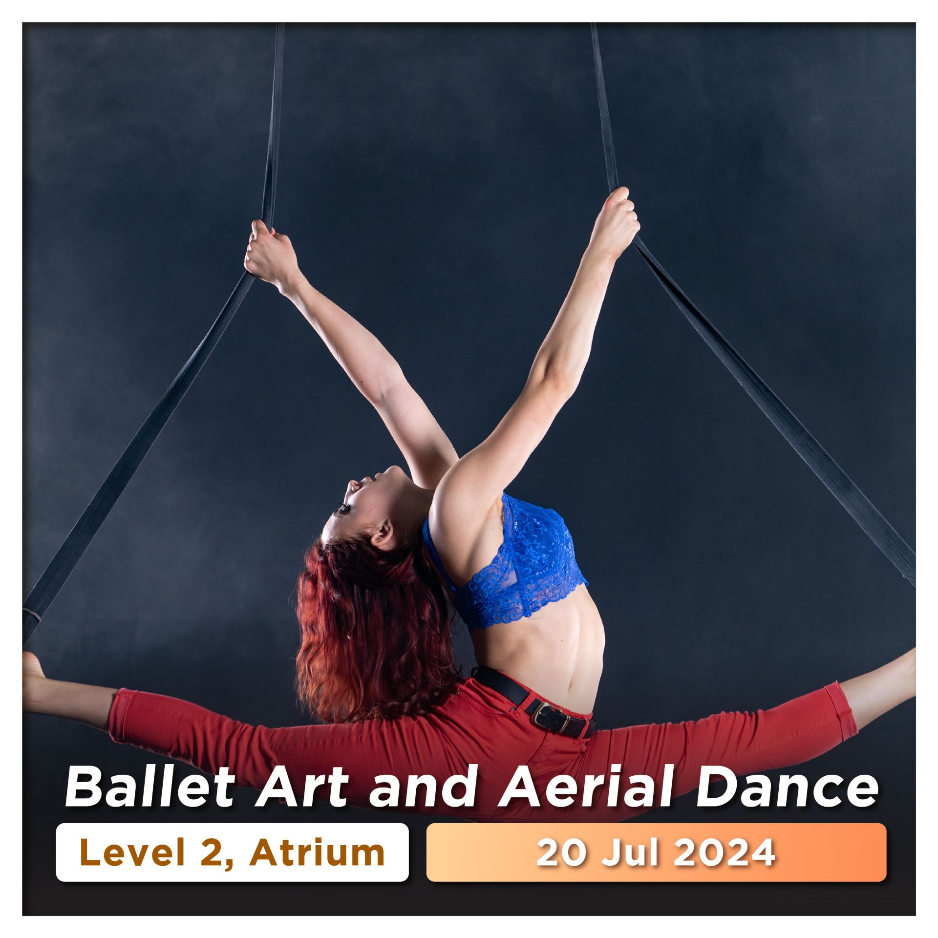 Ballet Art and Aerial Dance